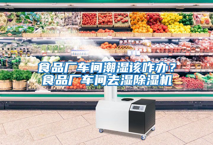 食品廠車間潮濕該咋辦？食品廠車間去濕除濕機(jī)