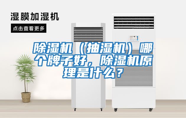 除濕機（抽濕機）哪個牌子好，除濕機原理是什么？
