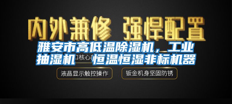雅安市高低溫除濕機，工業抽濕機  恒溫恒濕非標機器