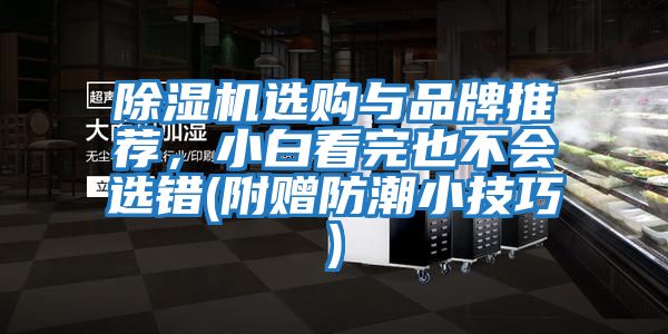 除濕機選購與品牌推薦，小白看完也不會選錯(附贈防潮小技巧)