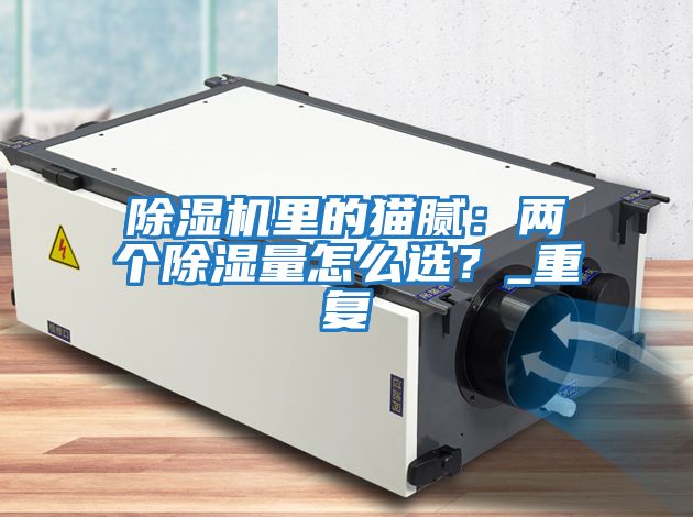 除濕機(jī)里的貓膩：兩個除濕量怎么選？_重復(fù)