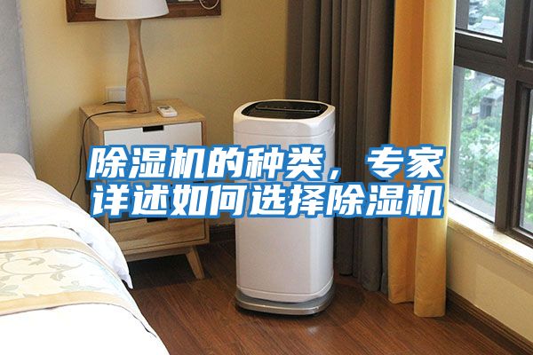 除濕機的種類，專家詳述如何選擇除濕機