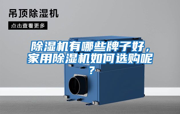除濕機(jī)有哪些牌子好，家用除濕機(jī)如何選購呢？