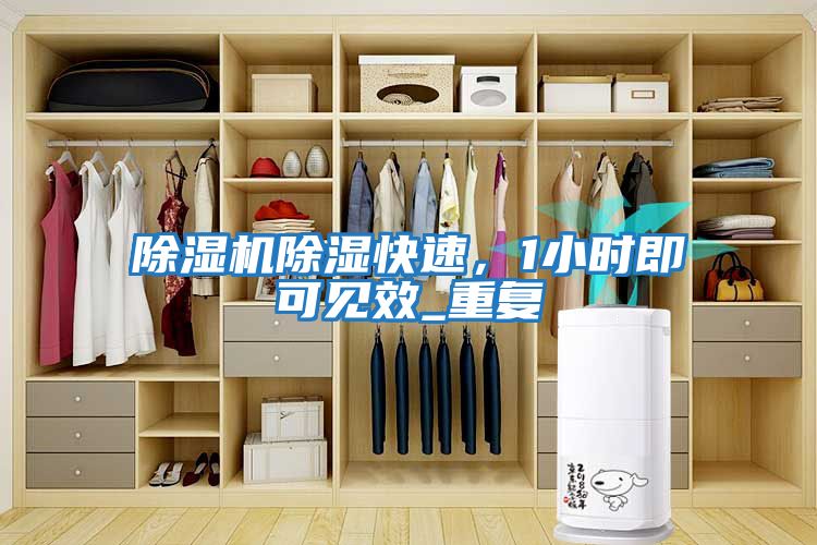 除濕機除濕快速，1小時即可見效_重復