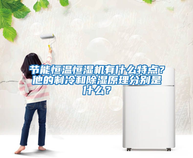 節(jié)能恒溫恒濕機(jī)有什么特點(diǎn)？他的制冷和除濕原理分別是什么？